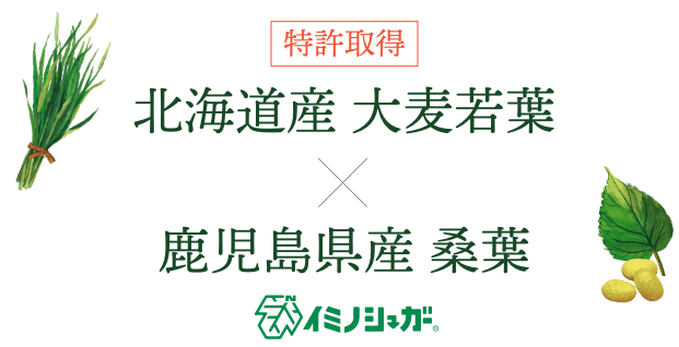 特許取得の北海道産大麦若葉×鹿児島県産 桑葉