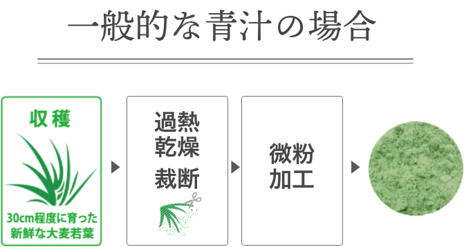 一般的な青汁の場合：30cm程度に育った新鮮な大麦若葉を収穫後、加熱乾燥・裁断、微粉加工