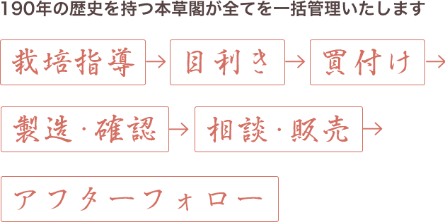 190年の歴史を持つ本草閣が全てを一括管理いたします 栽培指導・目利き・買付け・製造・確認・相談・販売・アフターフォロー