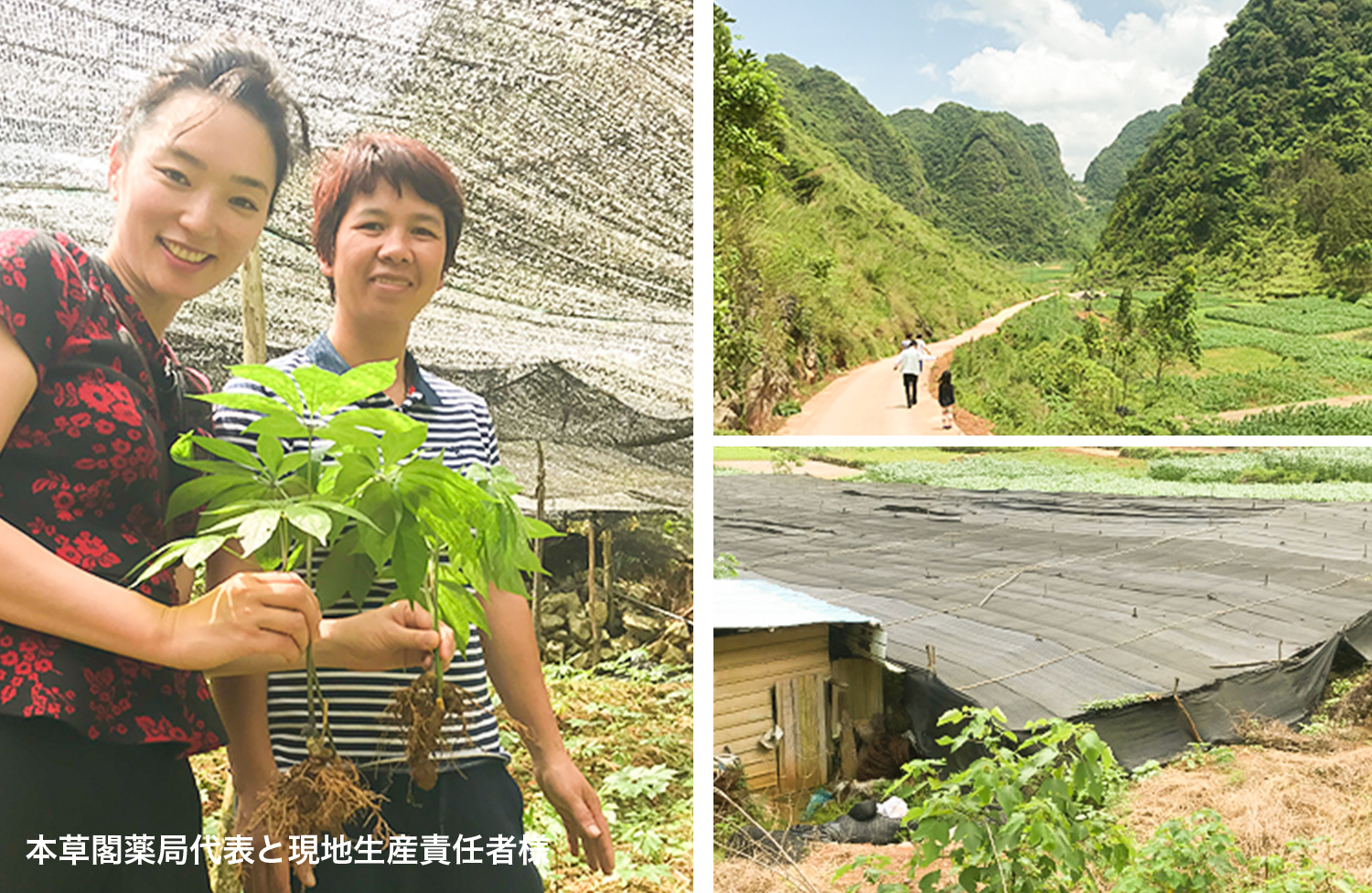 本草閣代表と現地生産責任者様