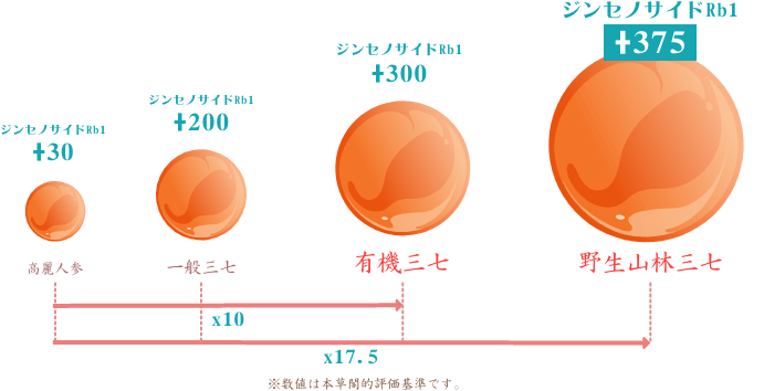 野生山林三七はジンセノサイドRb1が+375！ 一方で一般の三七人参はジンセノサイドRb1が+200