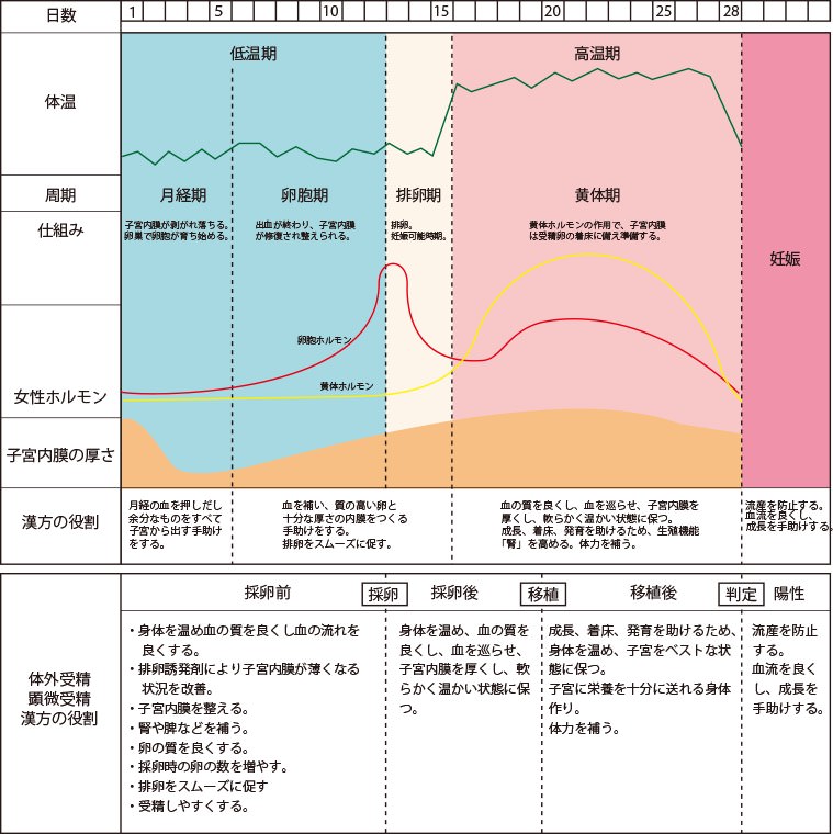 周期や検査結果、治療の反応からきめ細やかな処方が可能