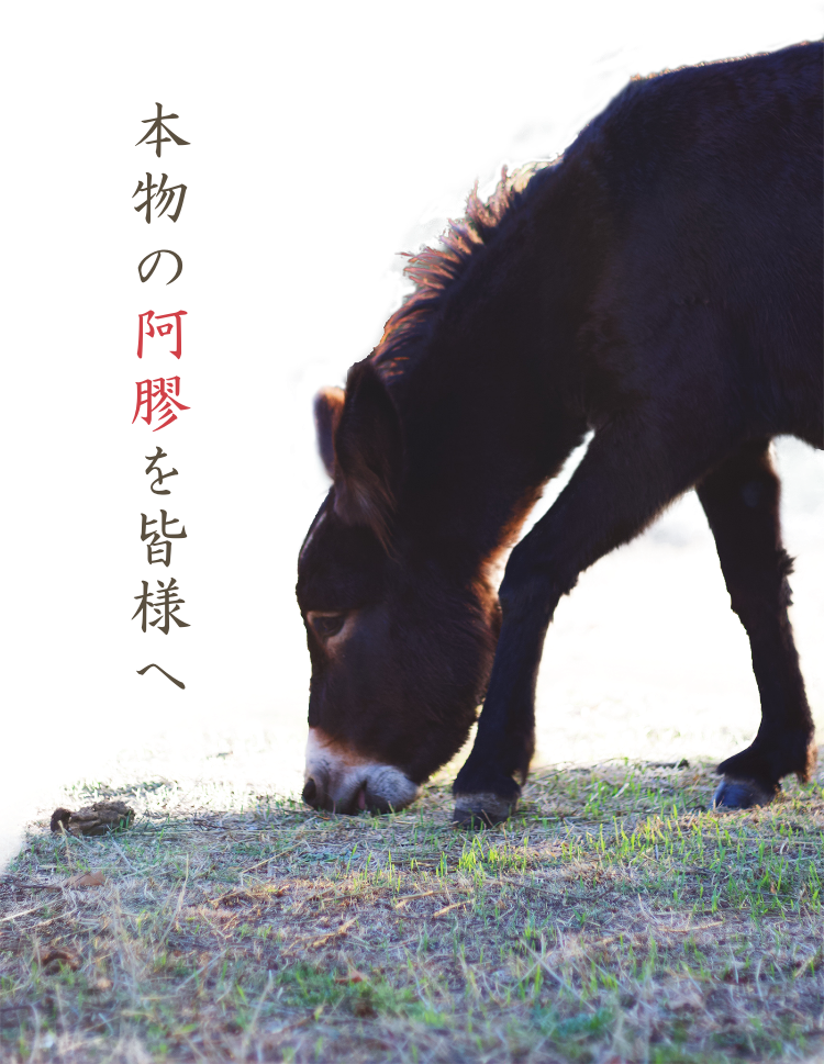 本物の阿膠を皆様へ
