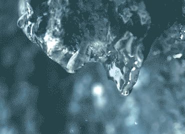 中国山東省の山奥に湧く澄んだ水は、不純物（アクなど）を取り除くのに適したミネラルを含んだ比重が重い硬水