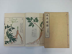 本草図譜