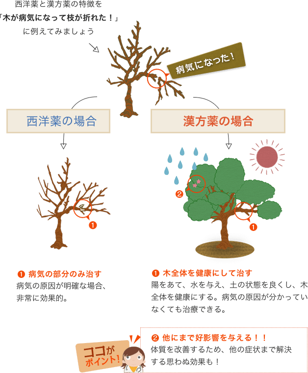 西洋薬と漢方薬の特徴を「気が病気になって枝が折れた！」に例えた図
