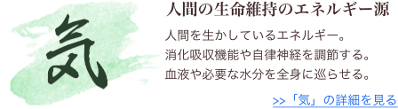 人間の生命維持のエネルギー源 人間を生かしているエネルギー。消化吸収機能や自律神経を調節する。血液や必要な水分を全身に巡らせる。