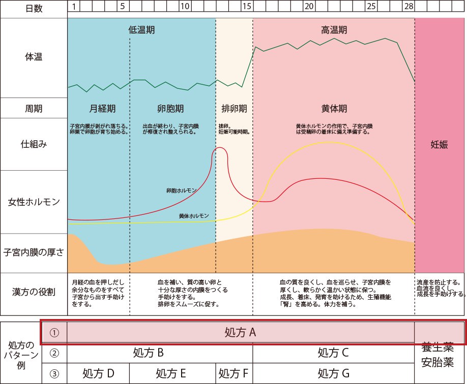 妊娠までの身体の周期と処方パターン例