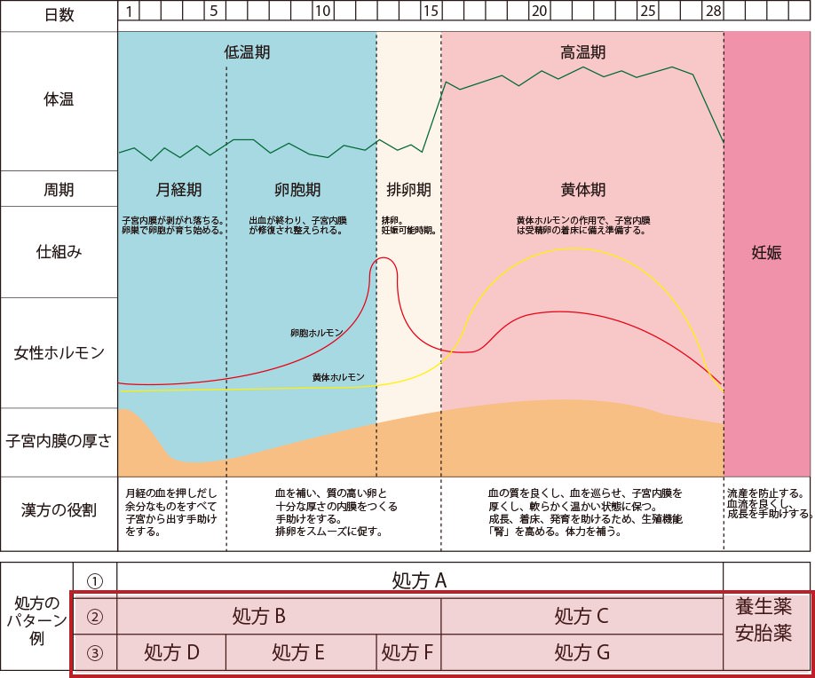 妊娠までの身体の周期と処方パターン例 3