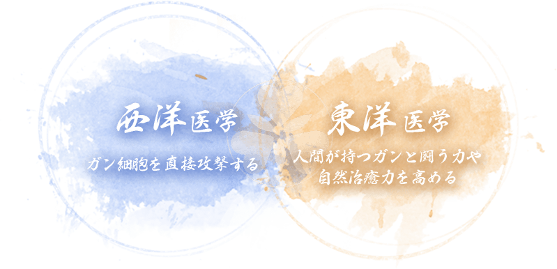 西洋医学と東洋医学の融合