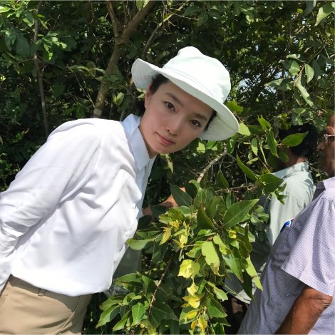 野生の生薬は、ジャングルの様な森の中に生えています。やはり野生の効果は非常に高い。