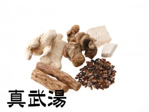 シンブトウ